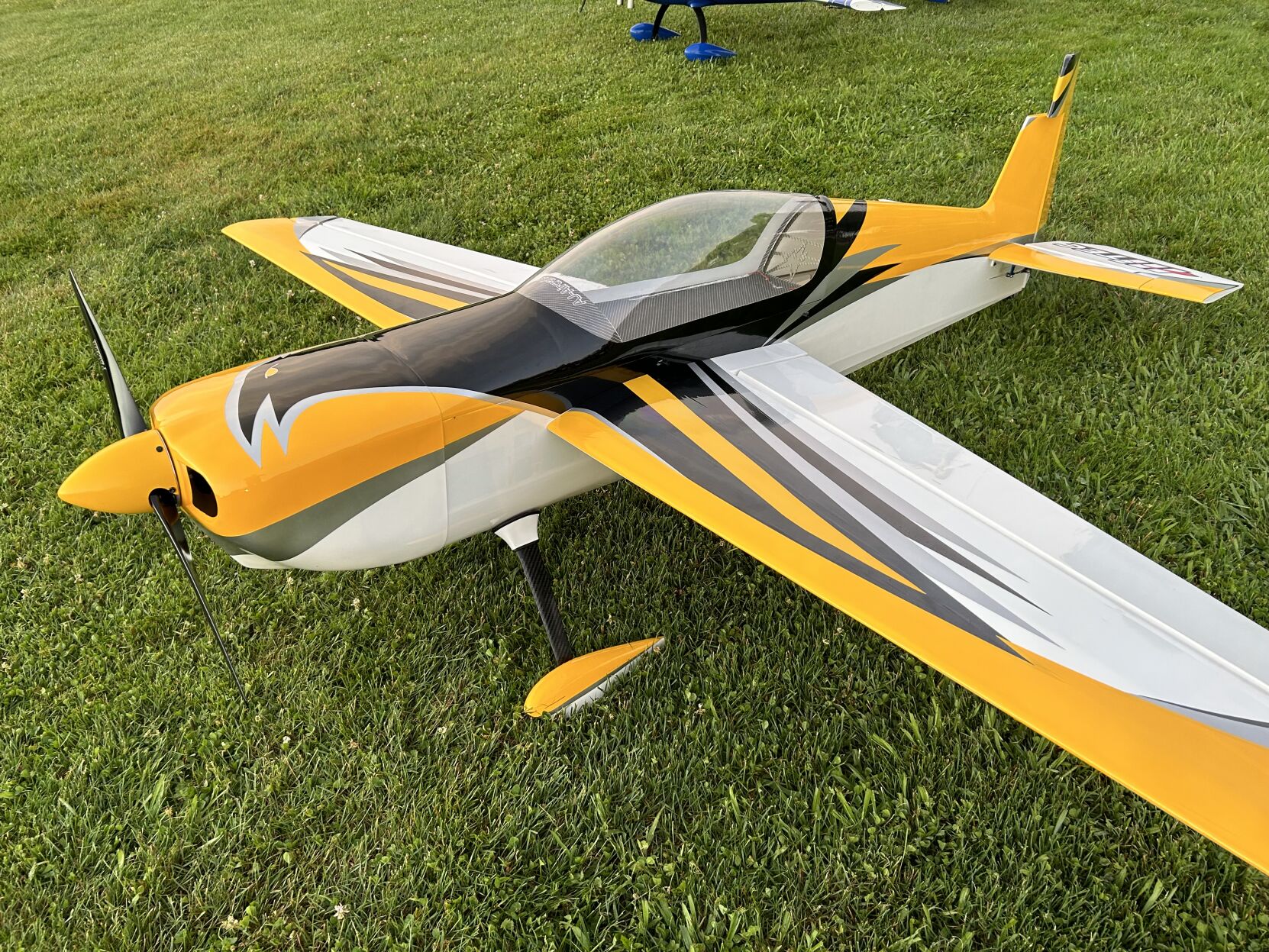 Wings for Kids RC Airshow